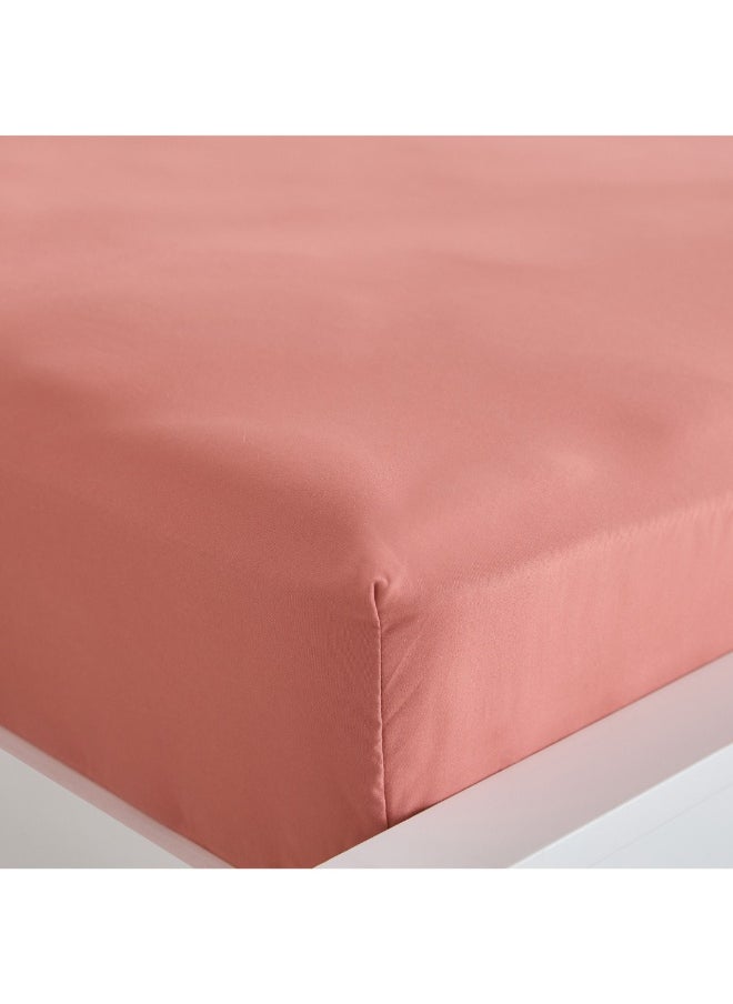 Derby Solid Microfiber King Fitted Sheet 180 X 200 X 25 Cm