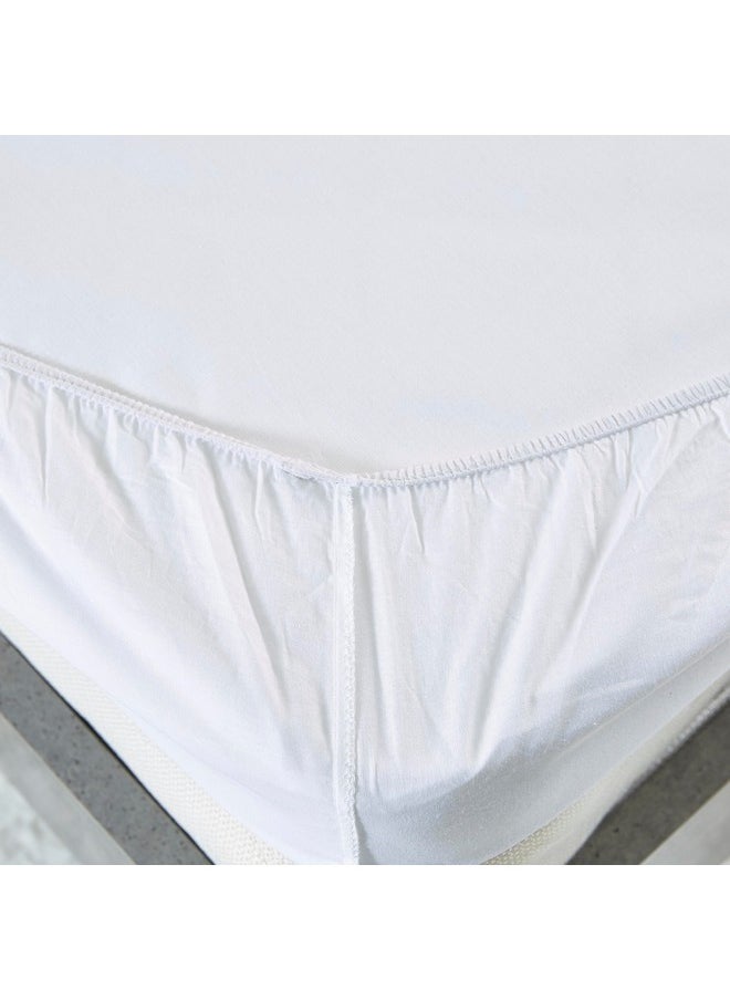 Ballina Solid Cotton Twin Fitted Sheet 200 x 33 x 120 cm