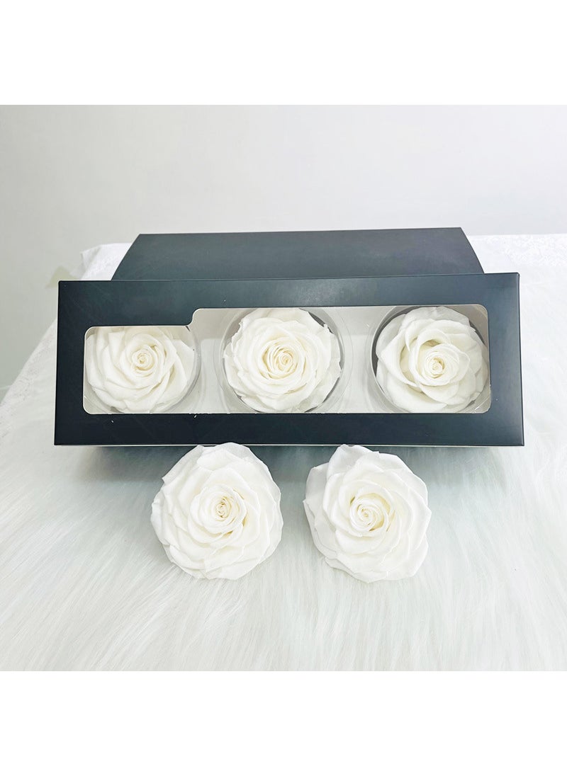 Preserved Rose Heads A-Grade 3-Pack 7-8cm Pure White