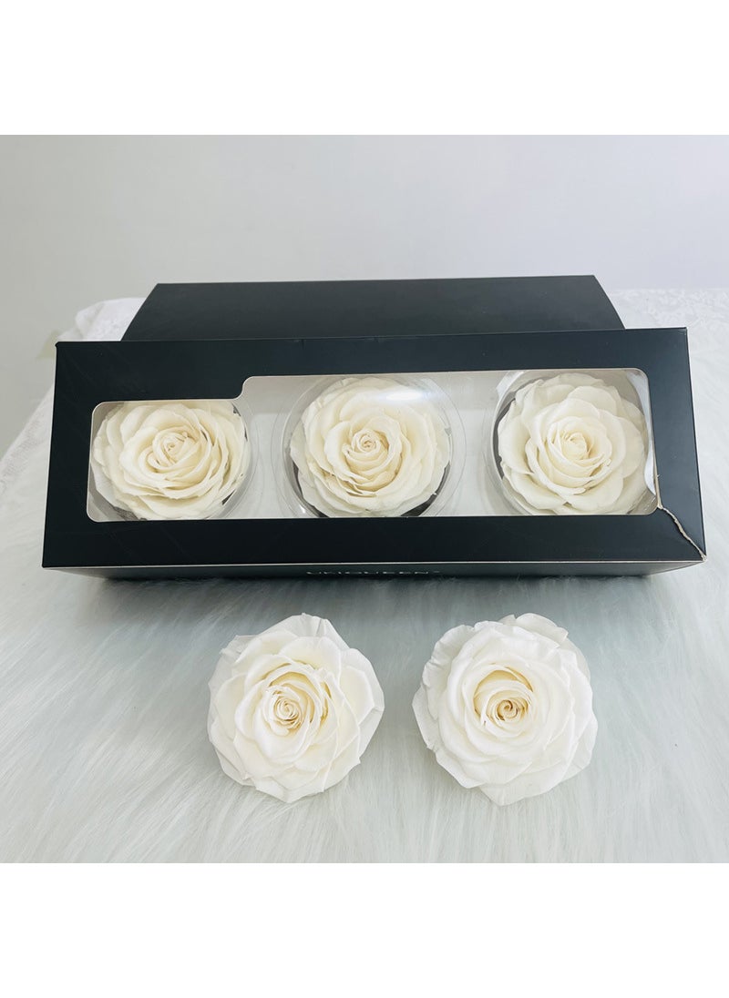 Preserved Rose Heads A-Grade 3-Pack 7-8cm Beige White