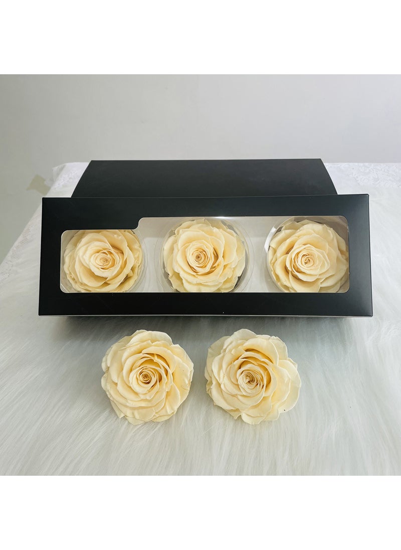 Preserved Rose Heads A-Grade 3-Pack 7-8cm Yellow Champagne