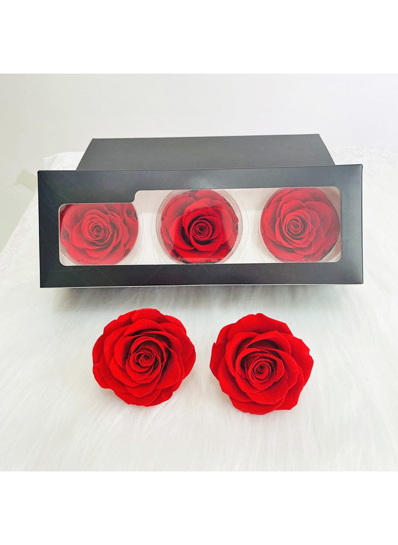 Preserved Rose Heads A-Grade 3-Pack 7-8cm Big Red