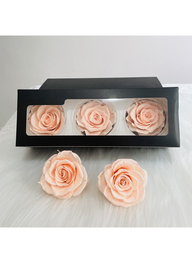 Preserved Rose Heads A-Grade 3-Pack 7-8cm Red Champagne