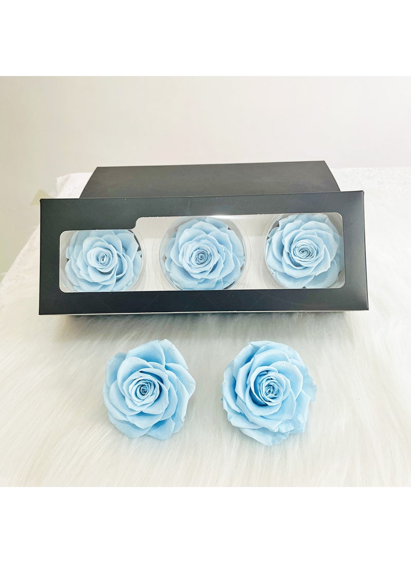 Preserved Rose Heads A-Grade 3-Pack 7-8cm Sky Blue