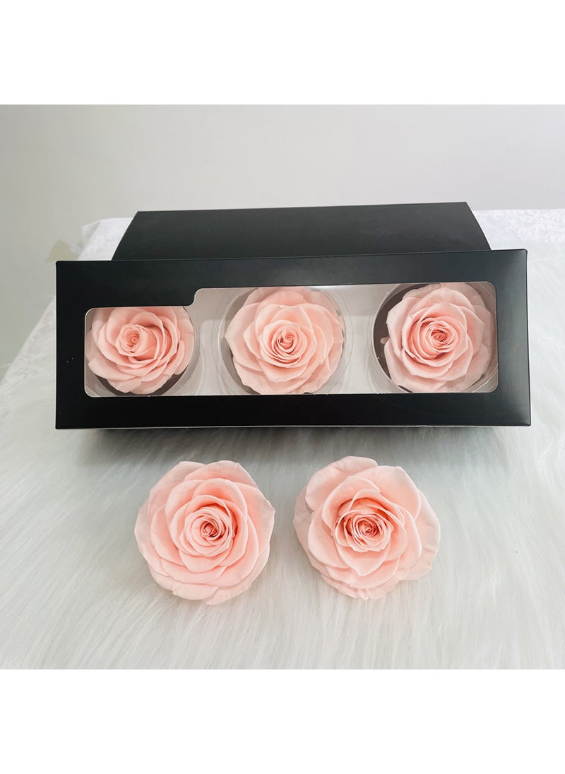 Preserved Rose Heads A-Grade 3-Pack 7-8cm Deep pink peach