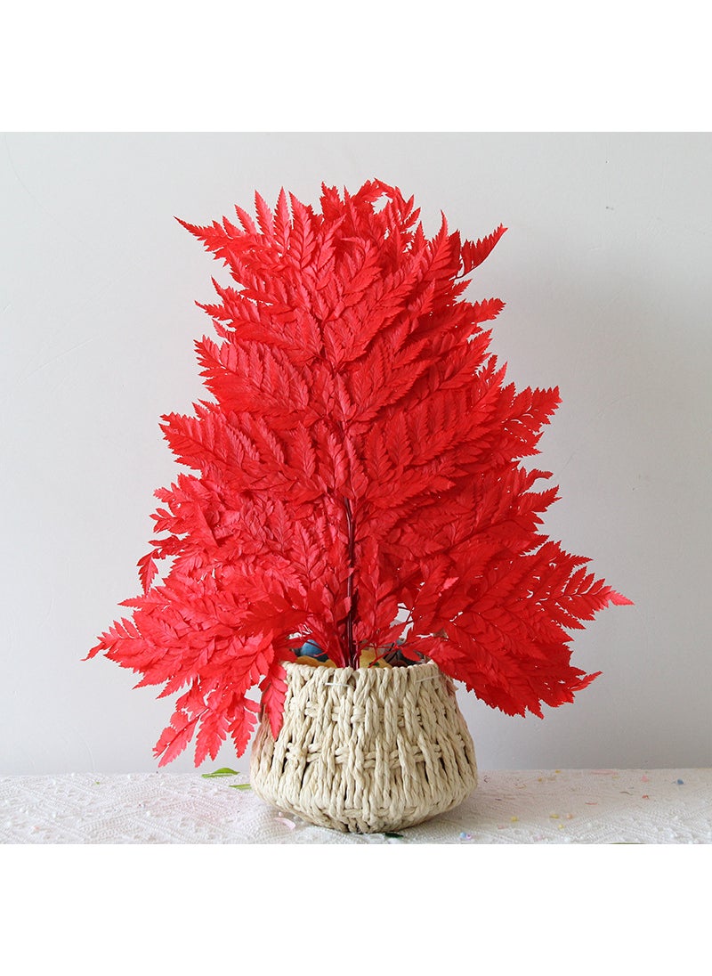 1 x 5 pcs Preserved Fern Leaves for DIY Scented Candle Floral Decor Red [10 sticks/bunch]]