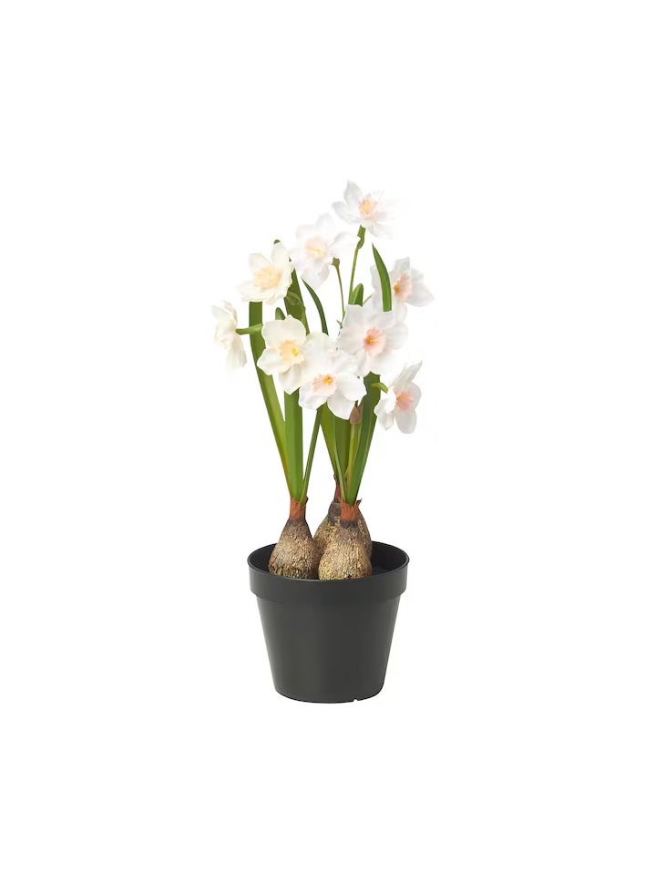 FEJKA Artificial potted plant, in/outdoor/Daffodil white, 12 cm