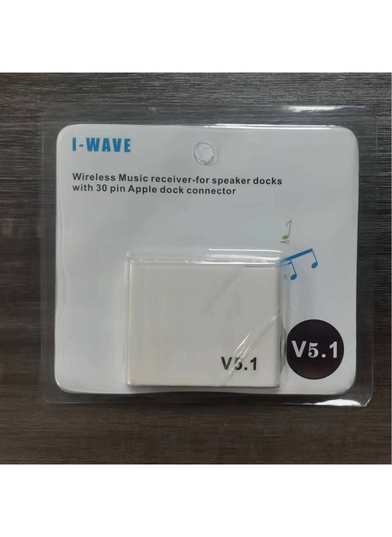 1 x 5 pcs White 5.1 Bluetooth Audio Receiver 30Pin I-WAVE