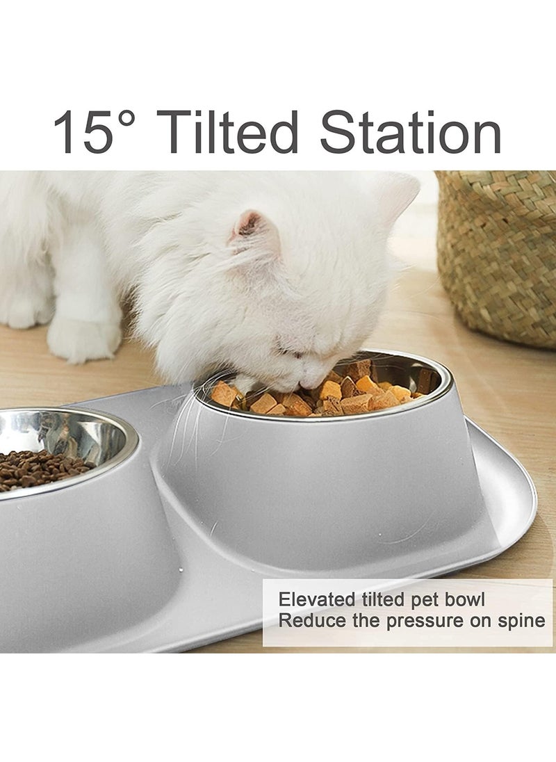 Cat Food Water Bowl