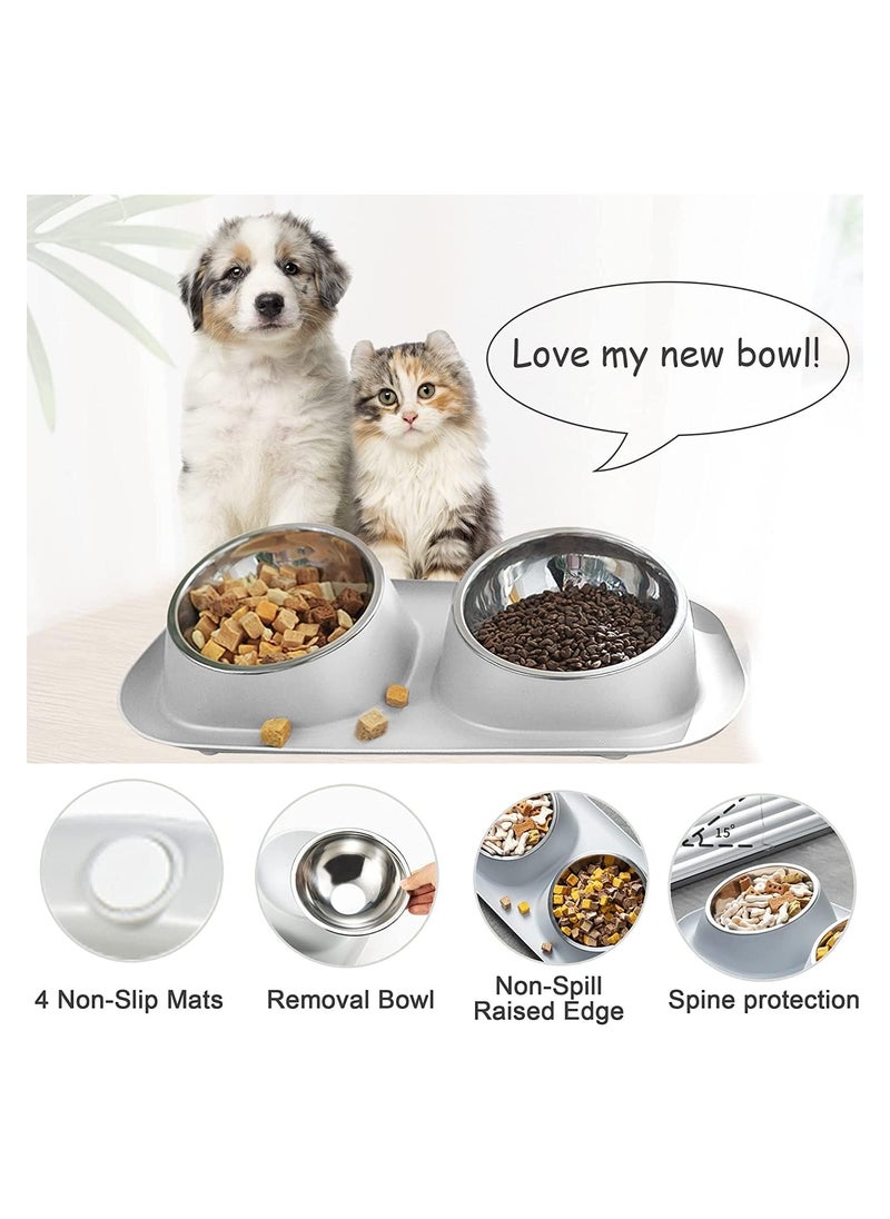 Cat Food Water Bowl