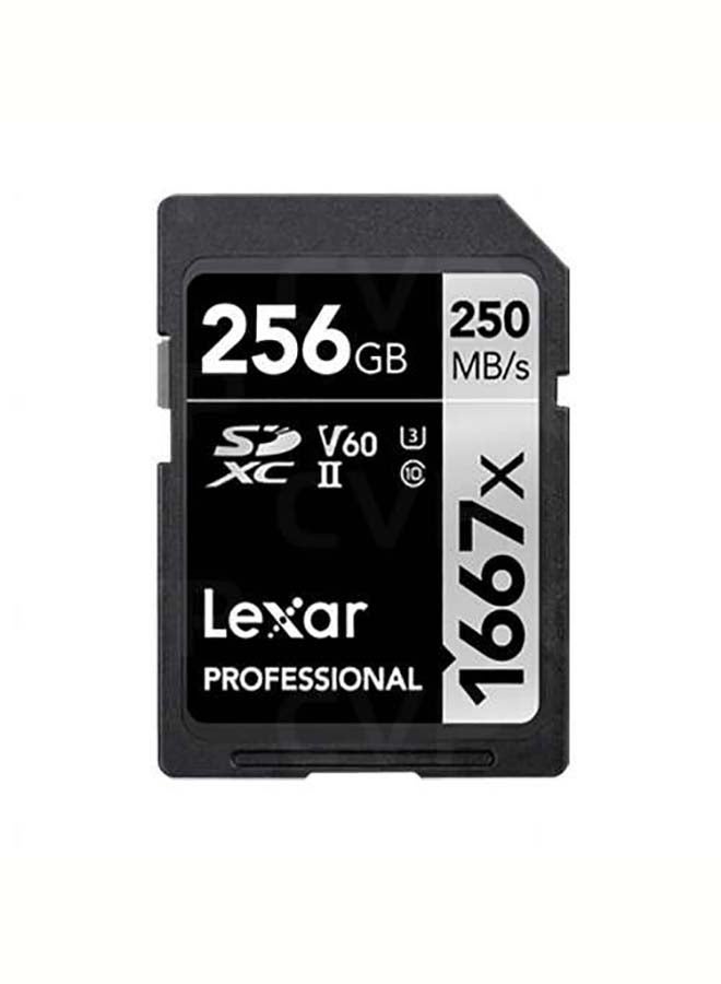 256GB Professional 1667x SDXC 256 GB