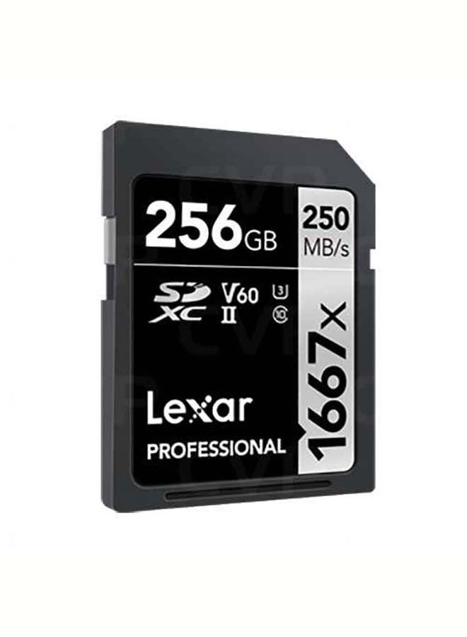 256GB Professional 1667x SDXC 256 GB