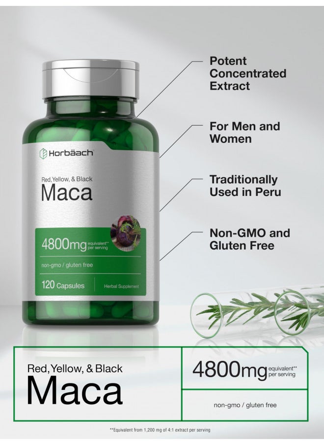 Maca Root Capsules | 120 Pills | High Potency Extract for Men and Women | Non-GMO and Gluten Free Formula | by Horbaach