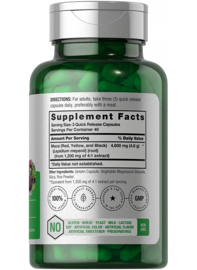 Maca Root Capsules | 120 Pills | High Potency Extract for Men and Women | Non-GMO and Gluten Free Formula | by Horbaach