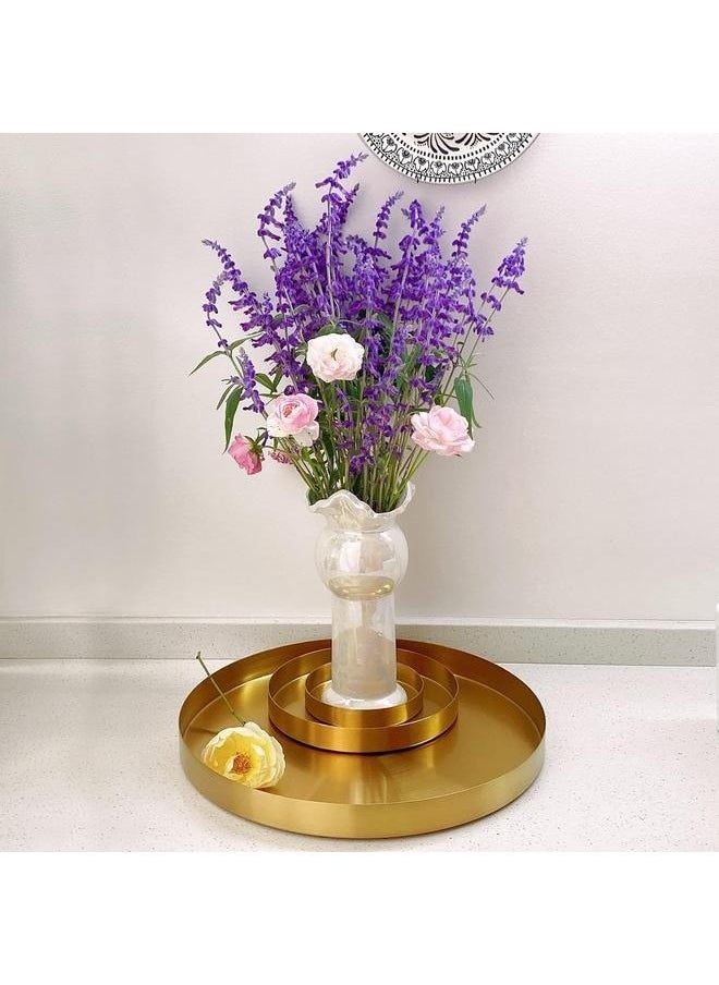 Steel Tray For Decoration Gold-22cm-Gold Tray Decorative, Metal Storage Organizer Round Coffee Table Tray for Jewelry, Brass Tray, Perfume, Makeup, Candle, Toiletry, Kitchen Tableware, Serving