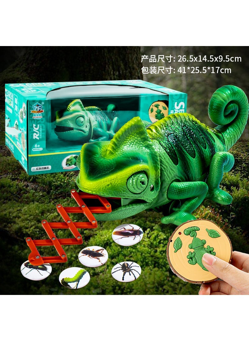 Remote Control Prank Snake Spider Toy 8888 remote control chameleon