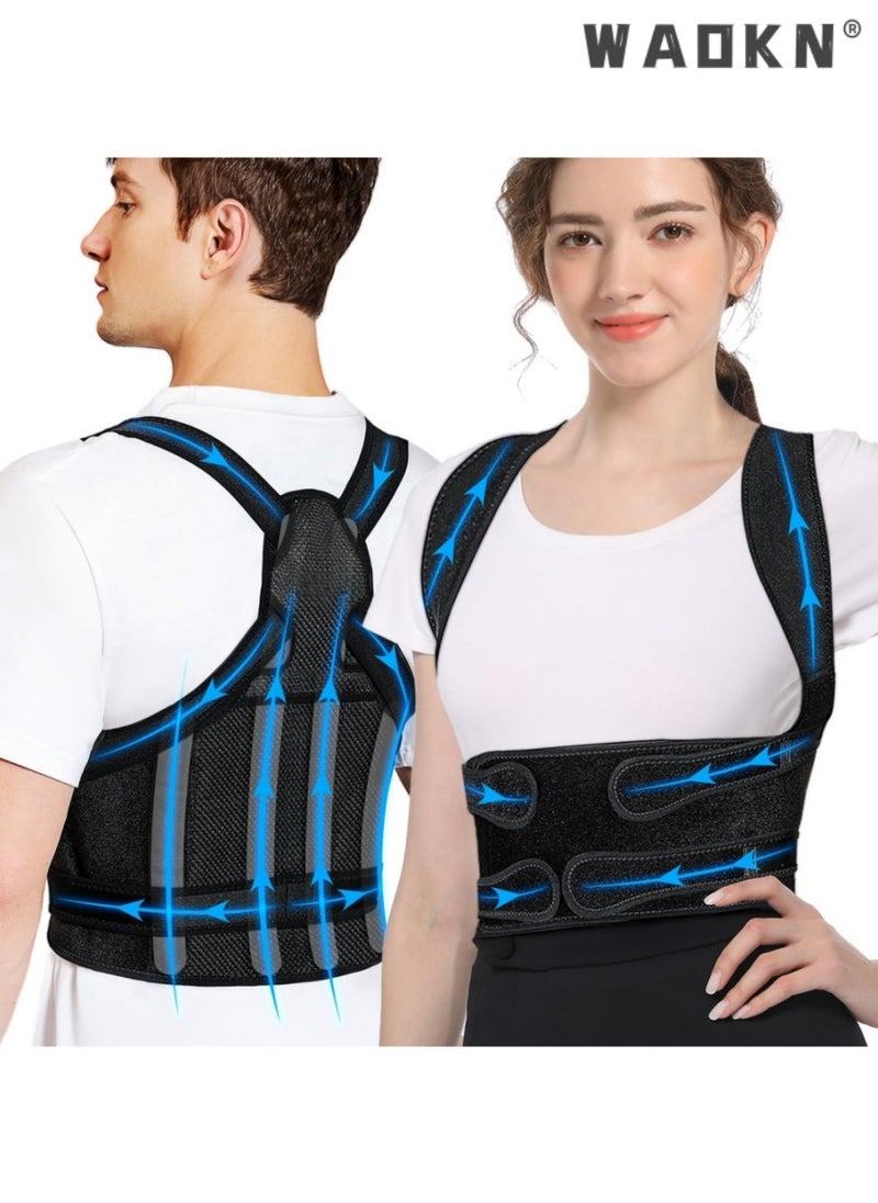 Posture Corrector for Women and Men, Adjustable Back Brace & Straightener for Scoliosis - Hunchback Correction - Back Pain/Spine Corrector/Back Support and Posture Trainer（L）