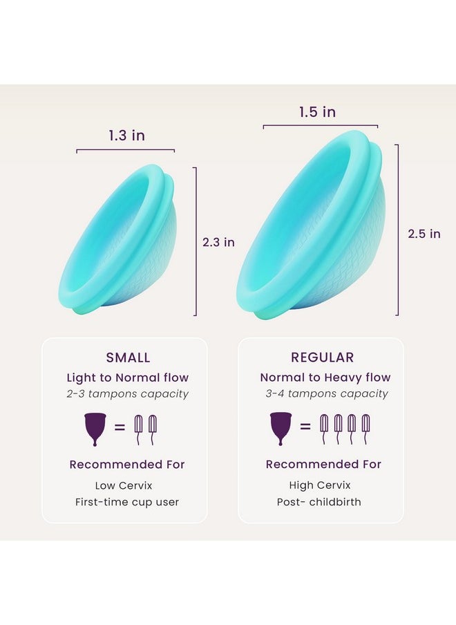 Reusable Period Disc - Soft Period Disc For Women (Small/Large (Teal & Magenta))