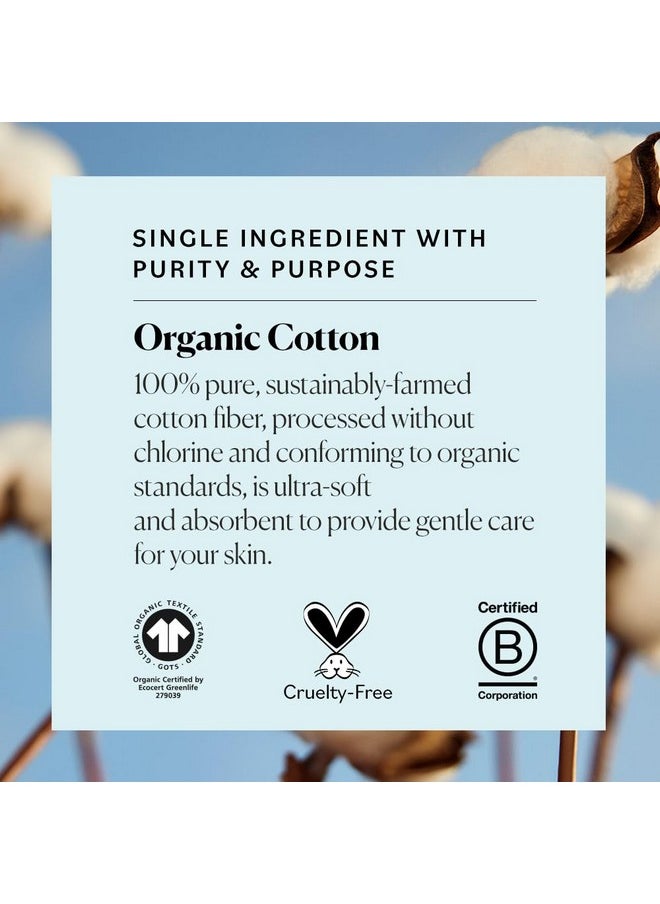 - Organic Cotton Swabs, 500 Ct. - Ultra Soft Tips - Strong & Durable - Hypoallergenic - Chlorine Free - Sustainable - With Ebook - Natural, Vegan & Cruelty Free - Skin Care & Self Care