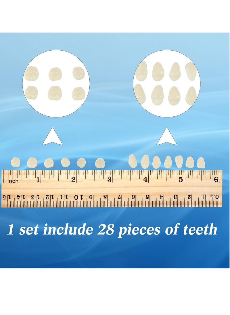 6 Sets Acrylic Resin Fake Teeth artificial teeth Denture Replacement Synthetic Resin Teeth Complete Teeth Denture Dental Teeth False Teeth Synthetic Resin Teeth for Replacement, 112 Pieces, 23 A2