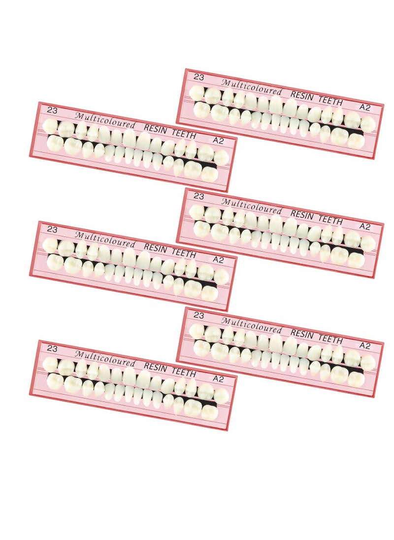 6 Sets Acrylic Resin Fake Teeth artificial teeth Denture Replacement Synthetic Resin Teeth Complete Teeth Denture Dental Teeth False Teeth Synthetic Resin Teeth for Replacement, 112 Pieces, 23 A2