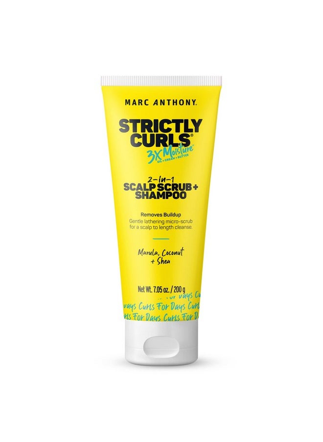 2-In-1 Scalp Scrub And Shampoo, Strictly Curls - Deep Cleansing & Exfoliating Shampoo For Curly Hair Removes Buildup With Coconut Oil, Marula Oil, Shea Butter & Bentonite Clay - 7.05 Oz