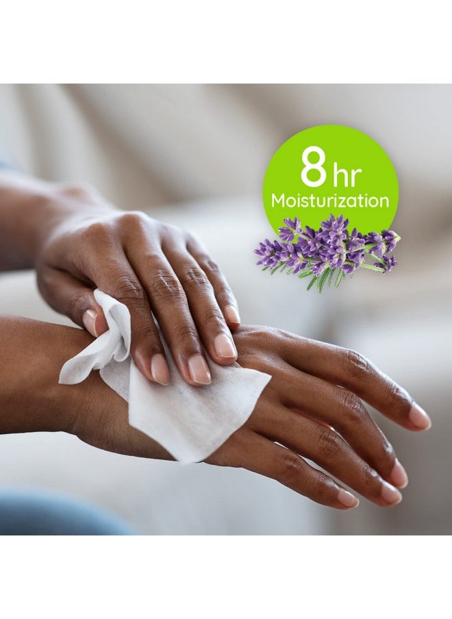 Antibacterial Hand Wipes, Lavender Wipes | Antibacterial Wipes, Moisturizing Wipes | 40 Ct. Canister