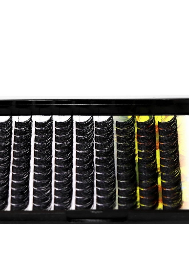 Large Pack Wide Stem Cluster Eyelashes D Curl 10-20Mm Available Handmade D Curl Wide Stem Individual False Eyelashes 5D Volume Diy Eye Lashes Extensions Beauty Tools (12Mm)