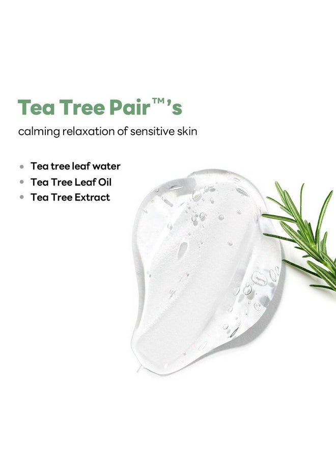 Teatree Calming Ampoule Cleanser Special Set (6.76 Fl Oz + 1.69 Fl Oz) - Moisture And Calming Synergy With Teatree & Ectoin