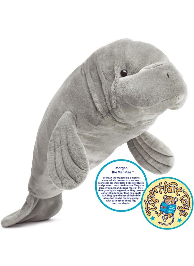 Morgan The Manatee - 21 Inch Stuffed Animal Plush - By Tigerhart Toys (New Edition)