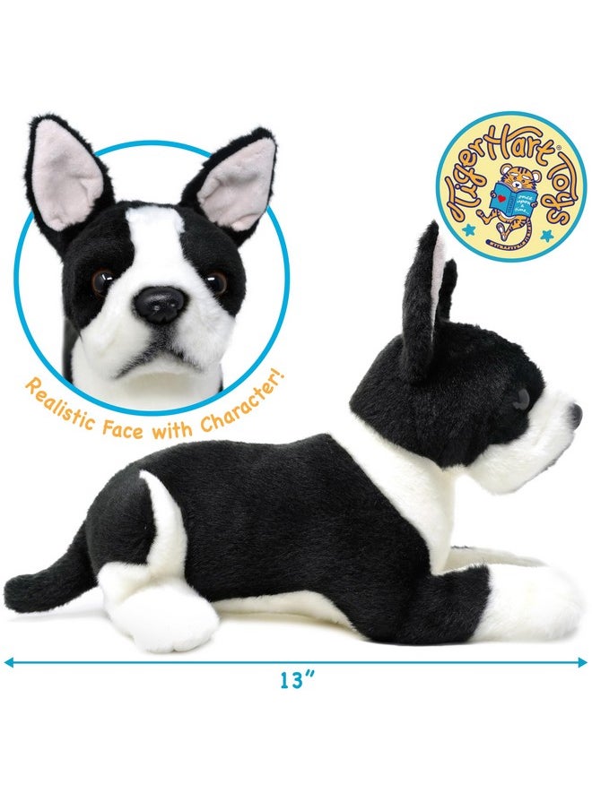 Baxter The Boston Terrier - 12 Inch Stuffed Animal Plush Dog - By Tigerhart Toys