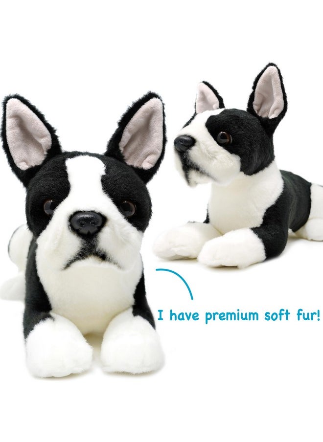 Baxter The Boston Terrier - 12 Inch Stuffed Animal Plush Dog - By Tigerhart Toys