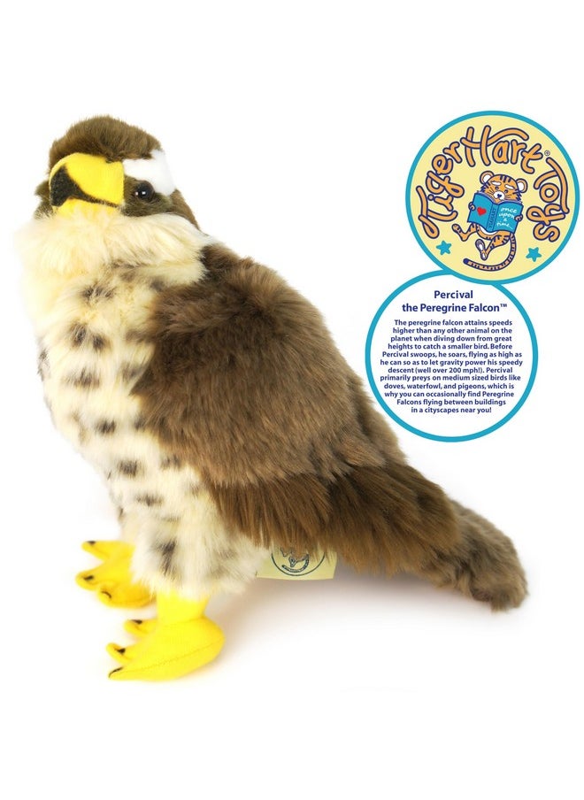 Percival The Peregrine Falcon - 9 Inch Stuffed Animal Plush - By Tigerhart Toys