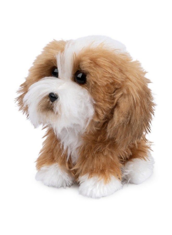 Boo, The World’S Cutest Dog, Boo & Friends Collection Tibetan Terrier Puppy, Stuffed Animal For Ages 1 And Up, 5”