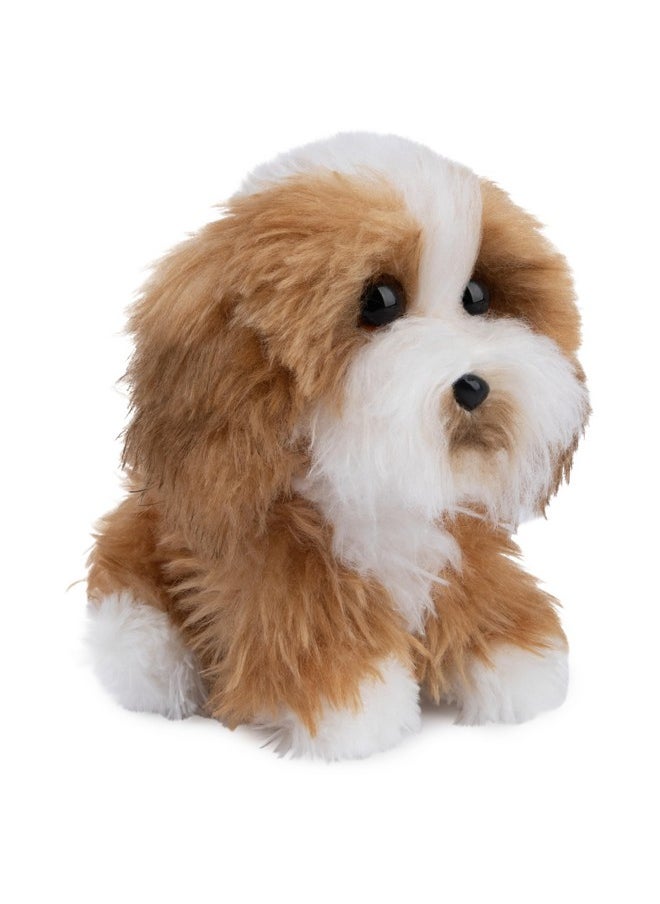Boo, The World’S Cutest Dog, Boo & Friends Collection Tibetan Terrier Puppy, Stuffed Animal For Ages 1 And Up, 5”