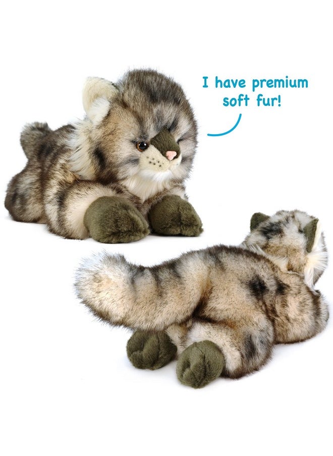 Ricky The Maine Coon | 16 Inch Stuffed Animal Plush | By Tigerhart Toys