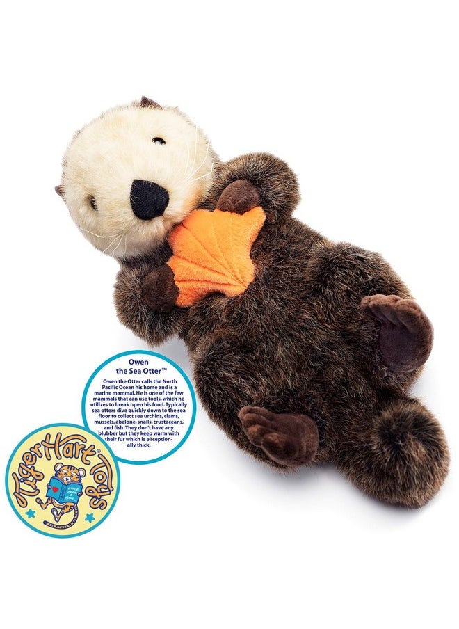 Owen The Sea Otter | 13 Inch Stuffed Animal Plush | By Tigerhart Toys