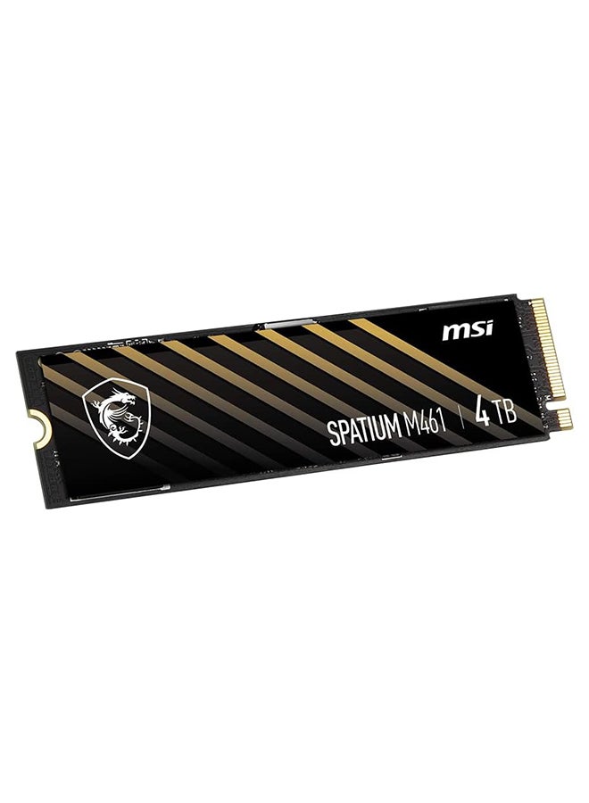 SPATIUM M461 PCIe 4.0 NVMe M.2 4TB Internal SSD PCIe Gen4 NVMe (SPATIUM M461 PCIe 4.0 NVMe M.2 4TB) 4 TB
