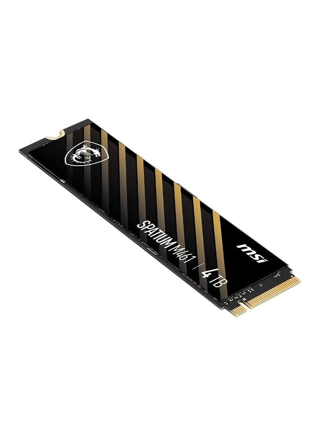 SPATIUM M461 PCIe 4.0 NVMe M.2 4TB Internal SSD PCIe Gen4 NVMe (SPATIUM M461 PCIe 4.0 NVMe M.2 4TB) 4 TB
