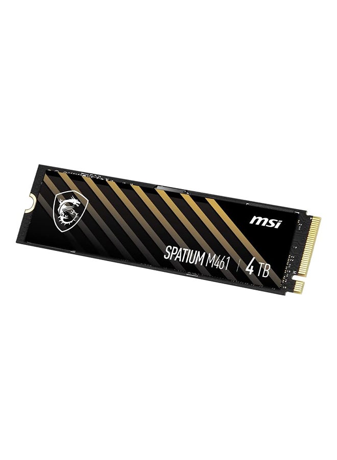 SPATIUM M461 PCIe 4.0 NVMe M.2 4TB Internal SSD PCIe Gen4 NVMe (SPATIUM M461 PCIe 4.0 NVMe M.2 4TB) 4 TB