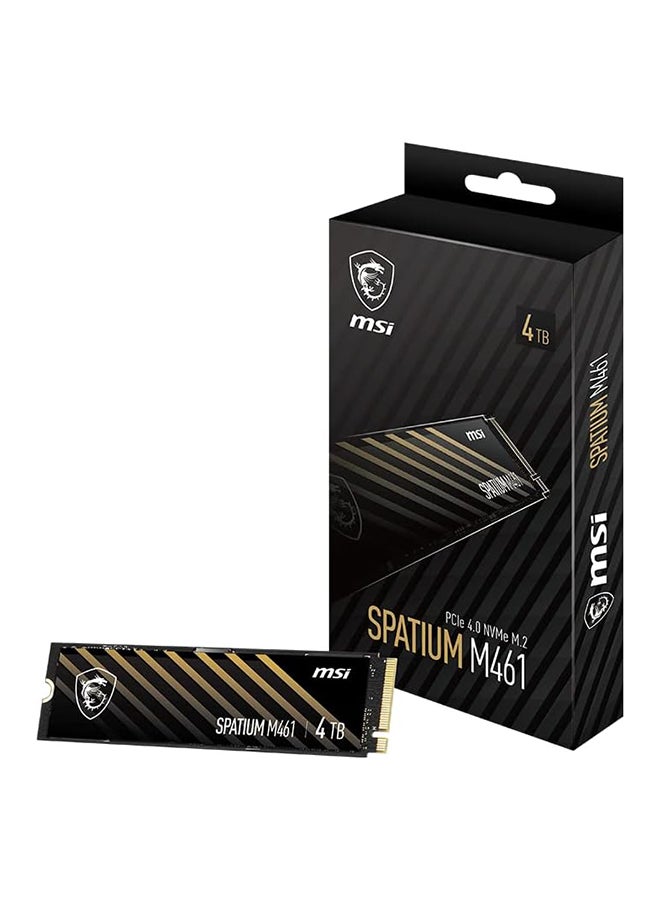 SPATIUM M461 PCIe 4.0 NVMe M.2 4TB Internal SSD PCIe Gen4 NVMe (SPATIUM M461 PCIe 4.0 NVMe M.2 4TB) 4 TB