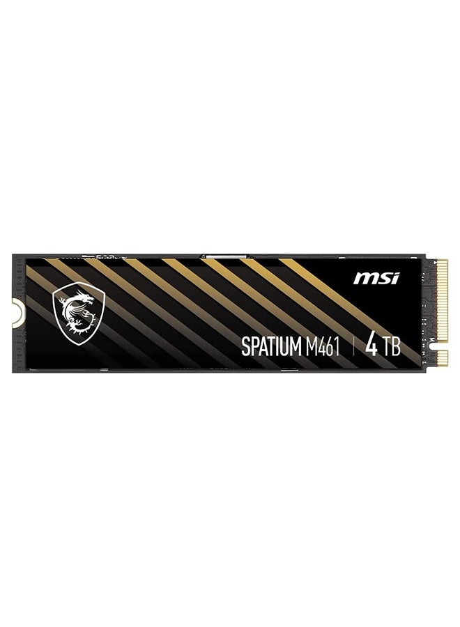 SPATIUM M461 PCIe 4.0 NVMe M.2 4TB Internal SSD PCIe Gen4 NVMe (SPATIUM M461 PCIe 4.0 NVMe M.2 4TB) 4 TB