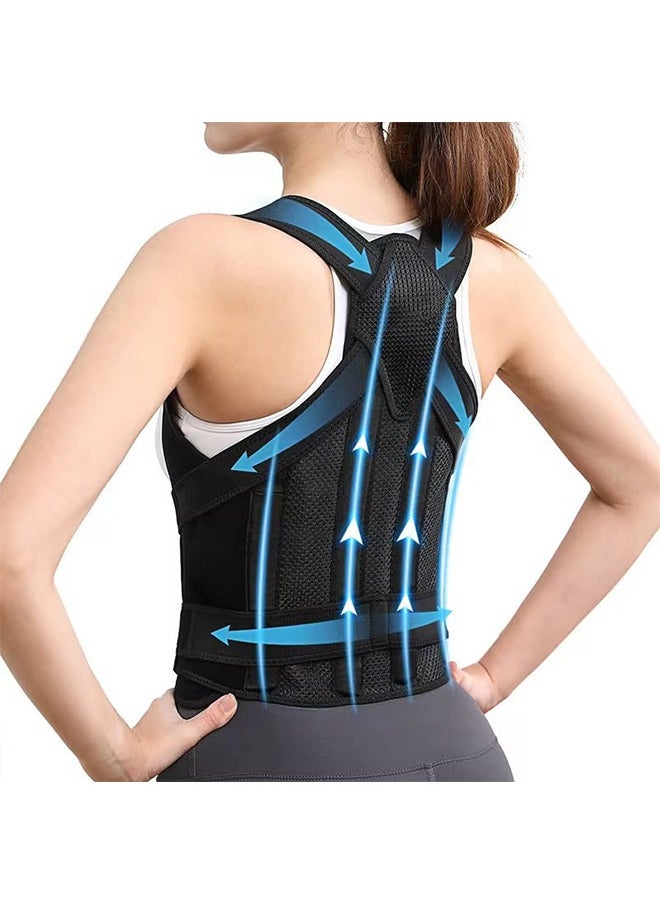 Back Brace and Posture Corrector for Unisex Back Straightener Scoliosis and Hunchback Correction Back Pain Spine Corrector Support Adjustable Posture Trainer #L