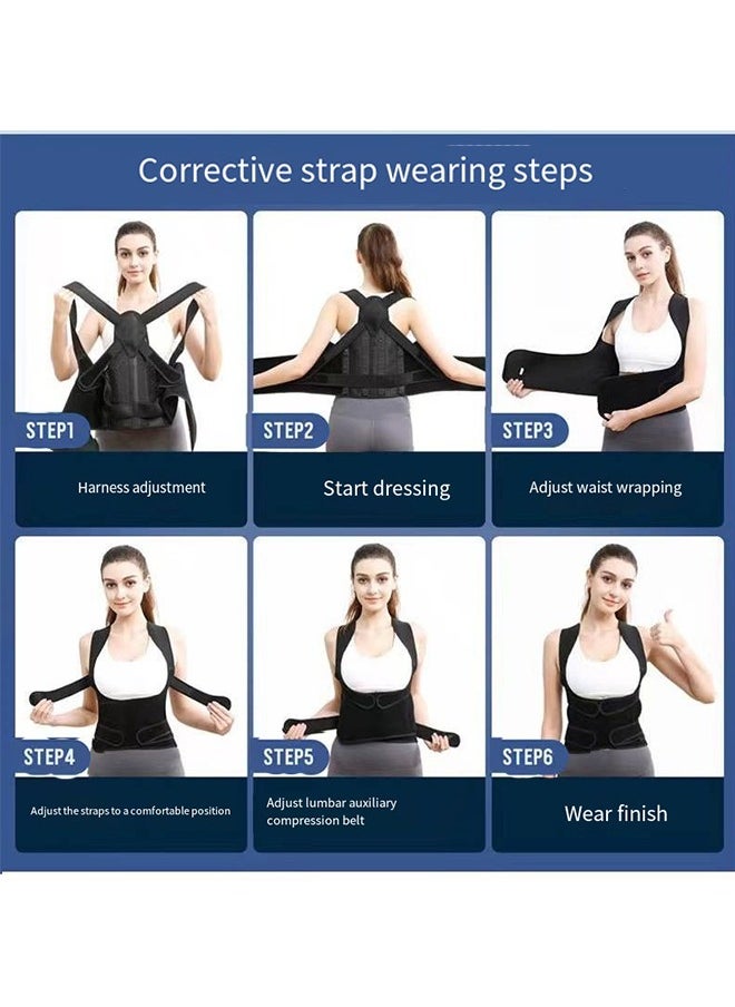 Back Brace and Posture Corrector for Unisex Back Straightener Scoliosis and Hunchback Correction Back Pain Spine Corrector Support Adjustable Posture Trainer #L