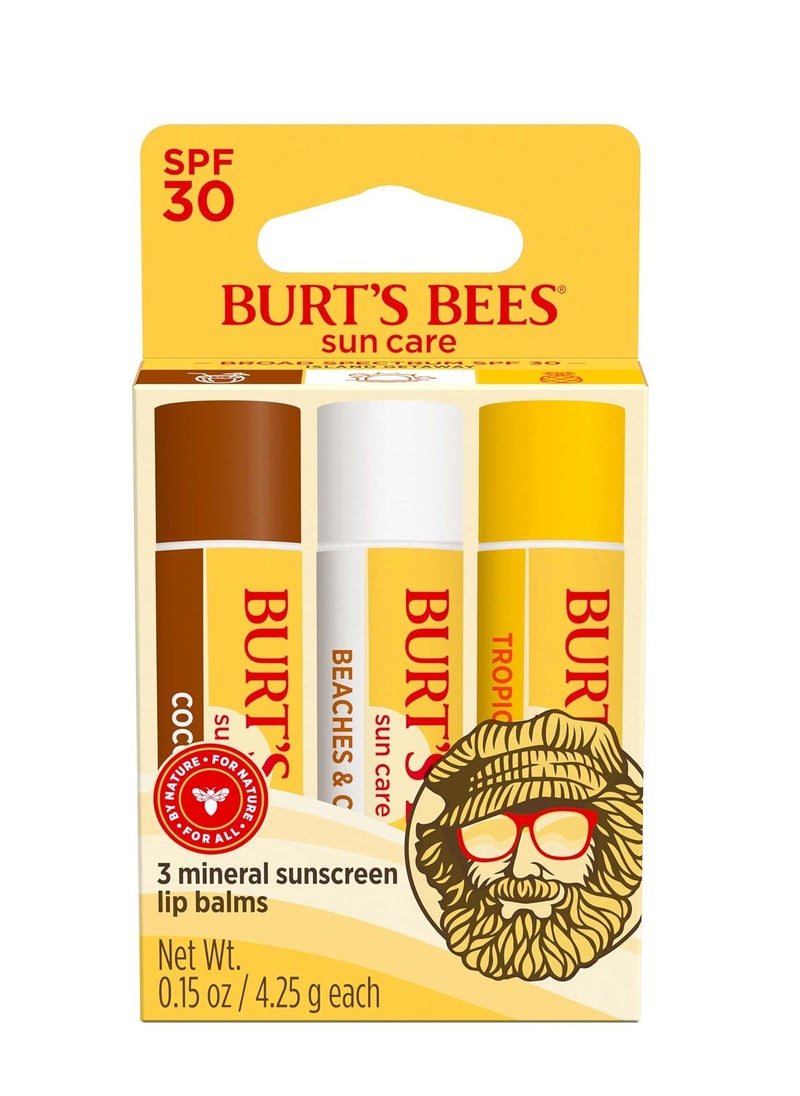 Burt's Bees Island Getaway Sun Care SPF 30 Lip Balm Stocking Stuffers, Water-Resistant Lip Moisturizer Christmas Gifts, Nano-Free Zinc Oxide Formula, Natural Conditioning Lip Treatment (3-Pack)