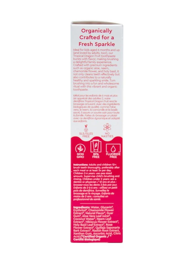 RADIUS USDA Organic Kids Toothpaste 3oz Non Toxic Chemical-Free Gluten-Free Designed to Improve Gum Health for Children's 6 Months and Up - Dragon Fruit - Pack of 3