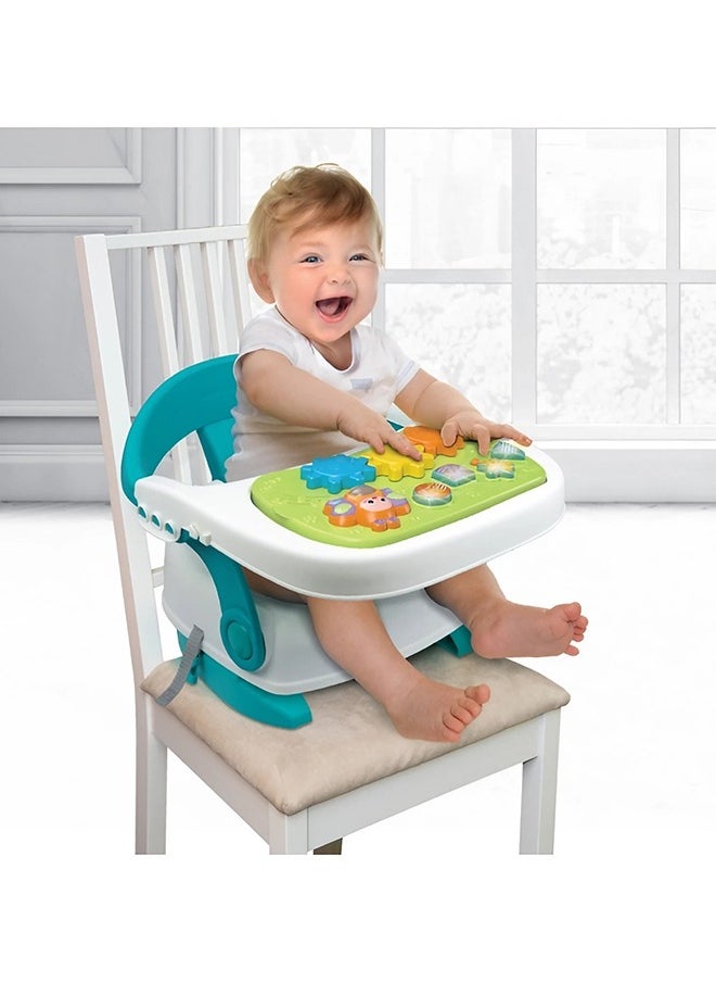 3-in-1 Musical Booster Seat