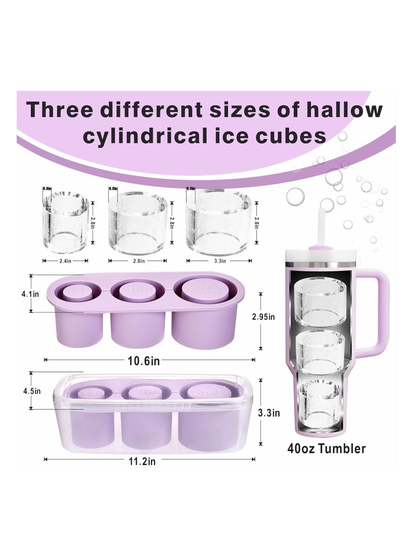 1 Pack Glass Ice Cube Tray for 40 oz Glass, Glass Silicone Ice Cube Tray with Container and Lid (Purple)