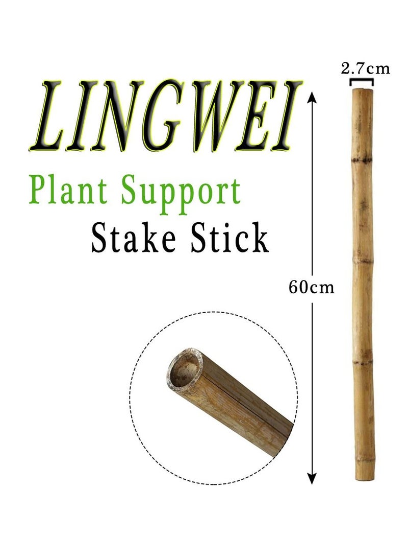 10 pcs Natural Thick Bamboo Stake Beige