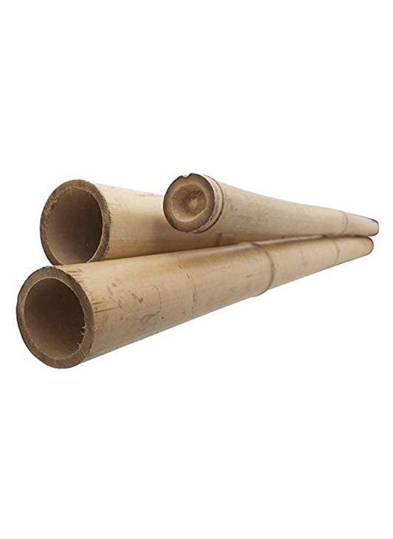 10 pcs Natural Thick Bamboo Stake Beige